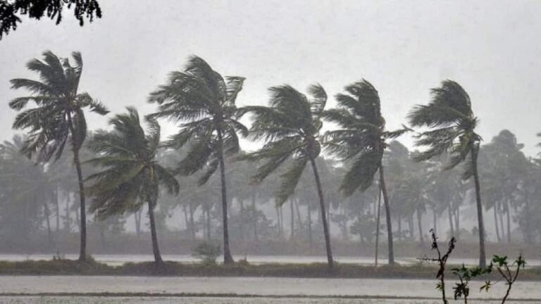 വരുന്ന നാല് ദിവസങ്ങളിൽ ശക്തമായ മഴ മുന്നറിയിപ്പ്; കണ്ണൂർ കാസർഗോഡ് ജില്ലകളിൽ യെല്ലോ അലർട്ട്