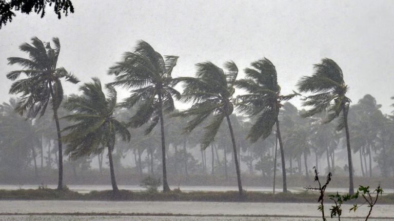 ഈ ആഴ്ച ശക്തമായ മഴയ്ക്ക് സാധ്യത; കാലാവസ്ഥ മുന്നറിയിപ്പ്