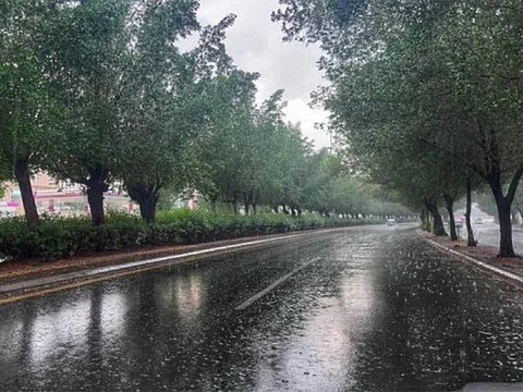 ശക്തമായ മഴയ്ക്കും കാറ്റിനും സാധ്യത