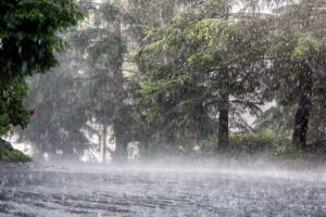 കനത്ത മഴയ്ക്കും കാറ്റിനും സാധ്യത