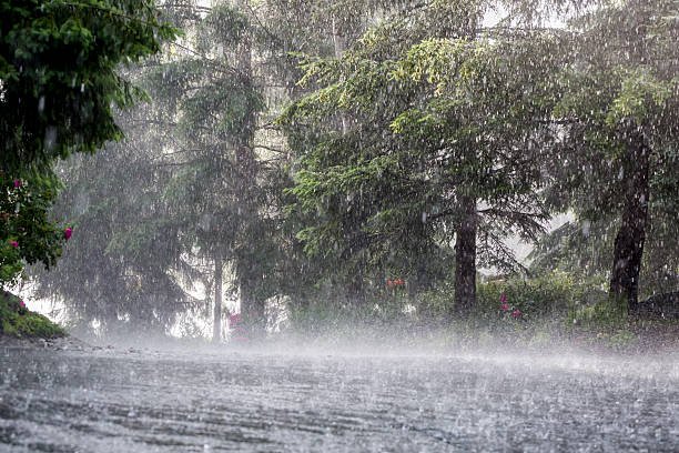 കനത്ത മഴയ്ക്കും കാറ്റിനും സാധ്യത
