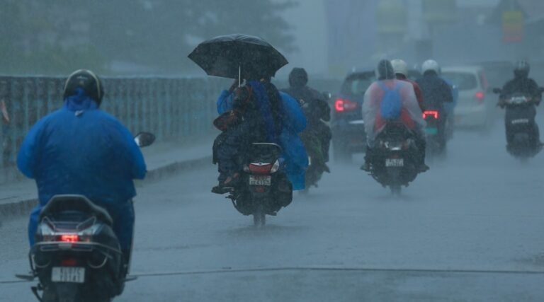 മഴ;  കോട്ടയം, എറണാകുളം ജില്ലകളിൽ നാളെ അവധി
