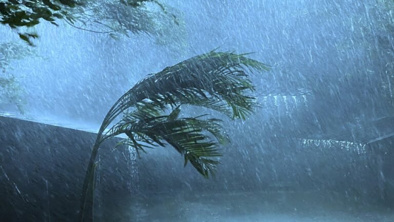 മഴയ്ക്ക് ശമനം; കാറ്റിന് സാധ്യത