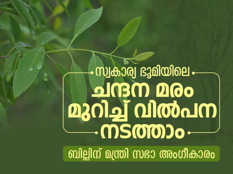 സ്വകാര്യ ഭൂമിയിലെ ചന്ദന മരങ്ങൾ മുറിക്കാം